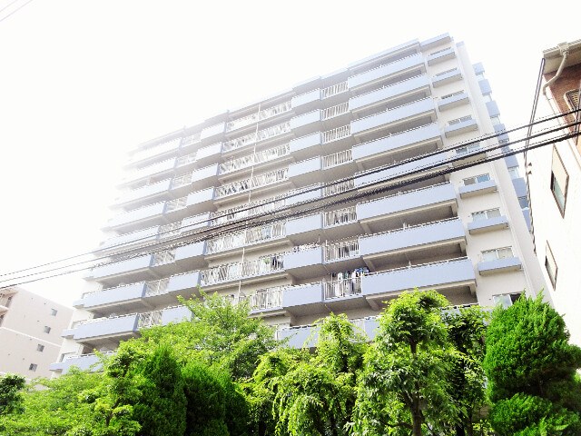 14409526/外観1
