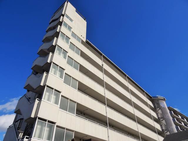 											白樺ハイツ城東
										外観
